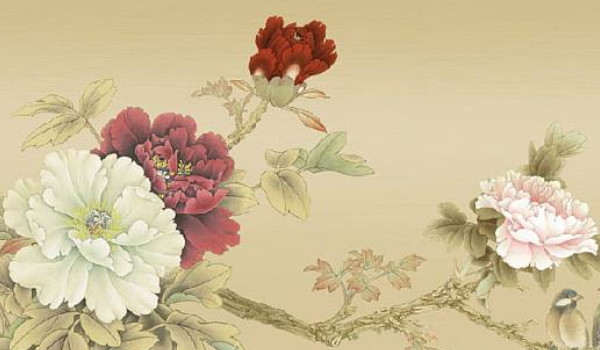 2022-01-06_151141 2022-01-06_151141