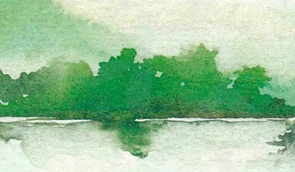 1655089866803447.jpg 2020-03-25_225312.jpg