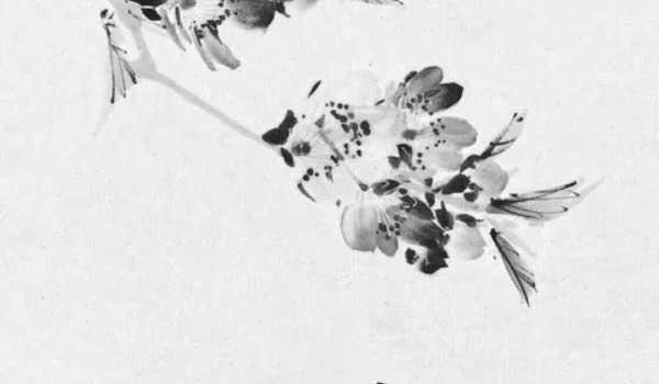 bazi (174) bazi (174)