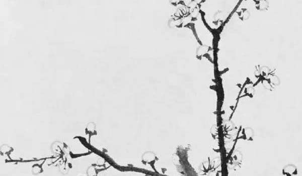 bazi (154) bazi (154)