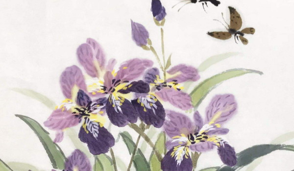 2022-01-06_111431 2022-01-06_111431