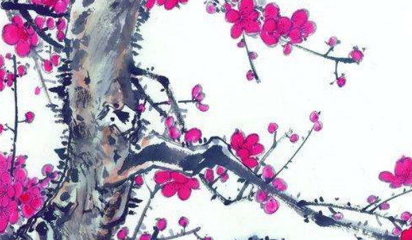 2021-12-11_134959 2021-12-11_134959