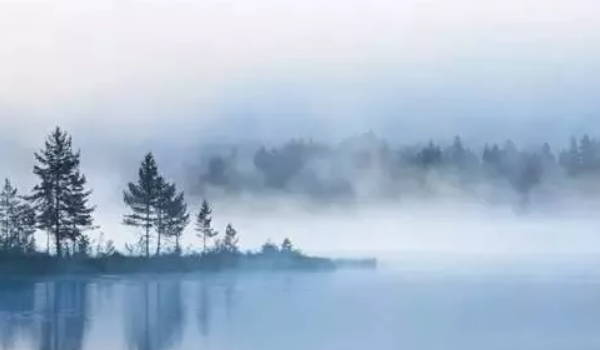 有财库的男人容易金屋藏娇 物质条件好