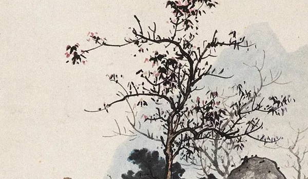 壬子日柱女命终身运势 壬子日女命太漂亮了